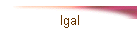 Igal