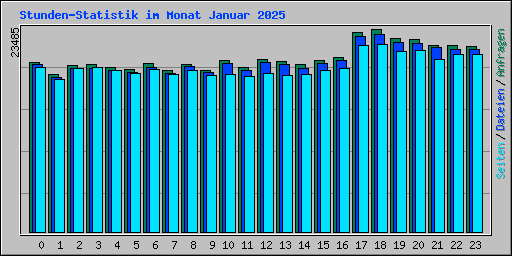 Stunden-Statistik im Monat Januar 2025