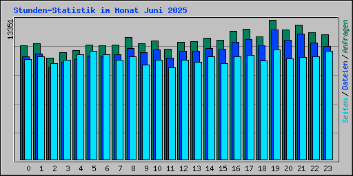 Stunden-Statistik im Monat Juni 2025
