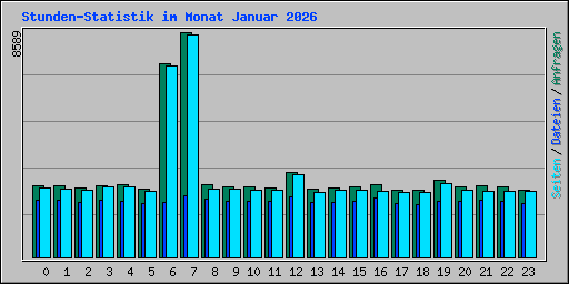 Stunden-Statistik im Monat Januar 2026