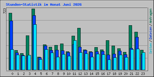 Stunden-Statistik im Monat Juni 2026